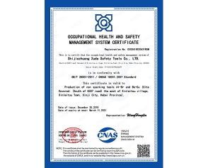 OHSAS 18001:2007